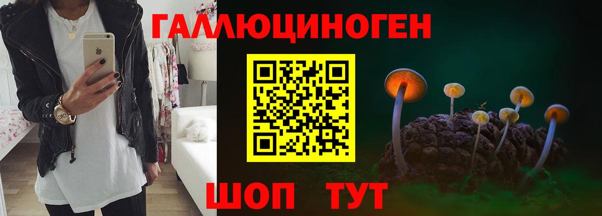 Псилоцибиновые грибы прущие грибы  Вход с VPN  Пугачёв 